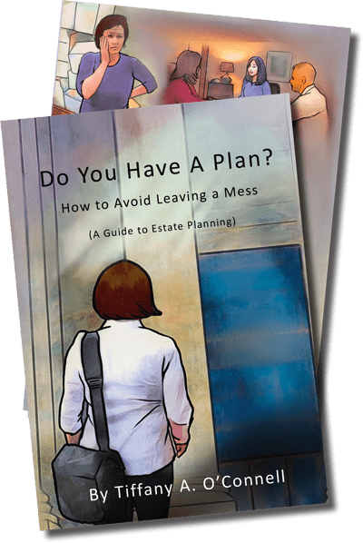 Do You Have a Plan? book cover